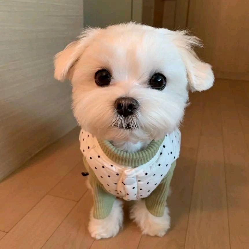 幸福快乐永远陪伴