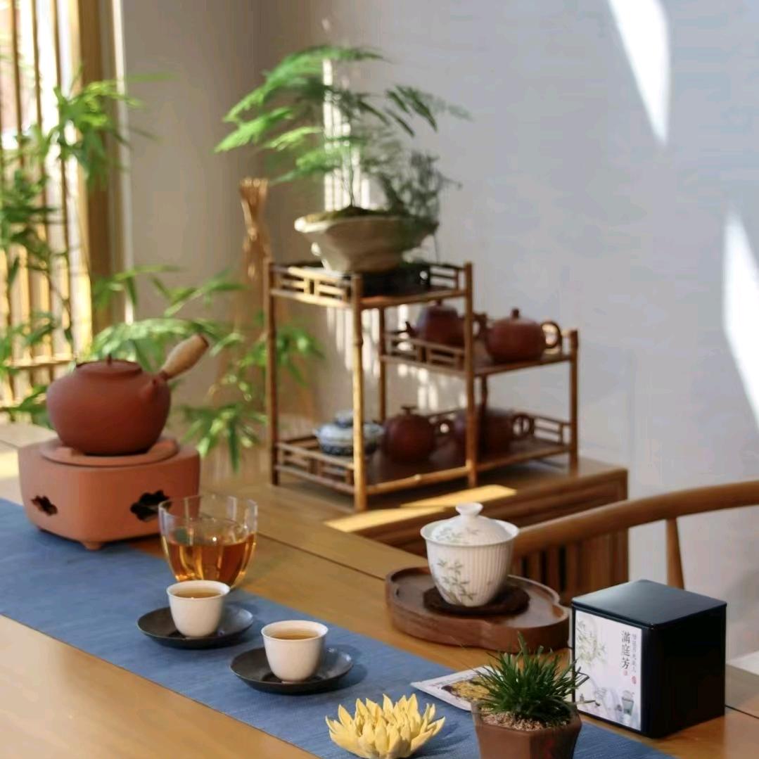 竹樾师妹