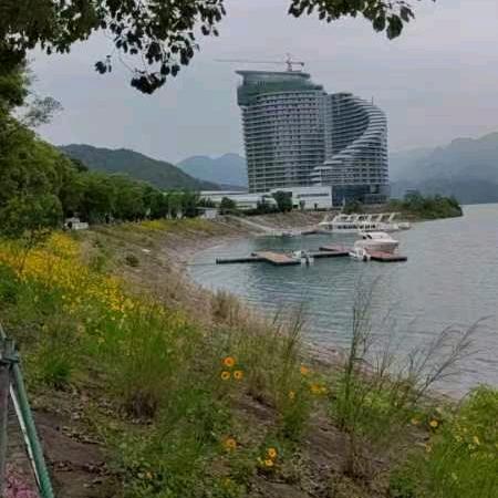 薛总