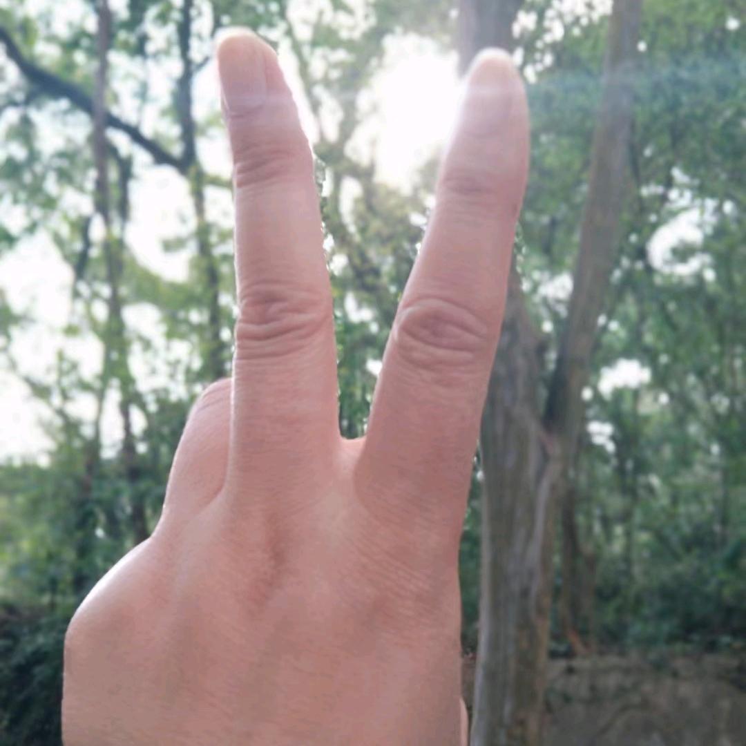 玻璃歆