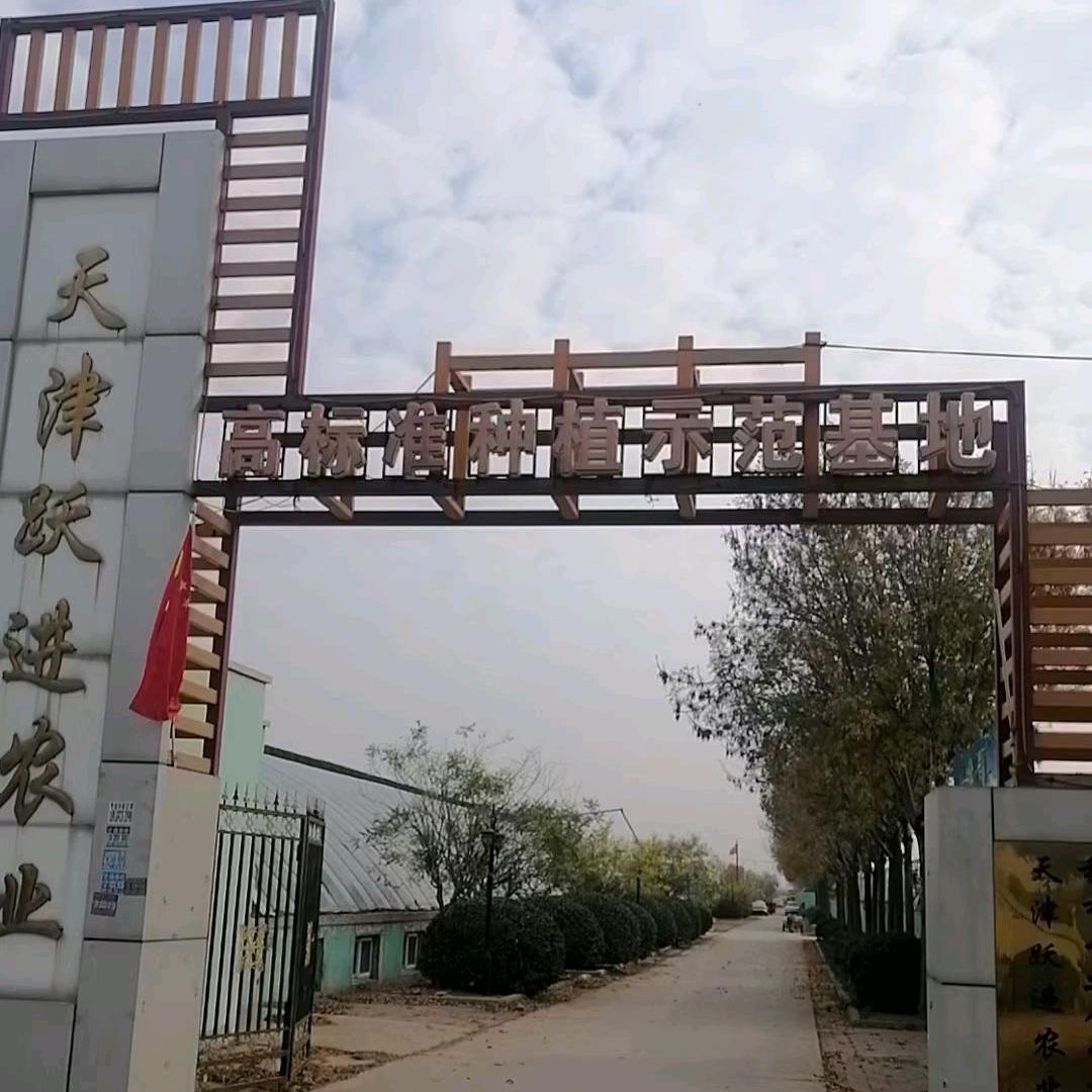 琳琦优选跃进农品