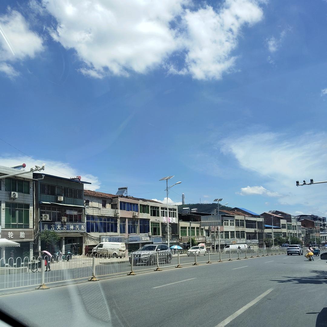 你在想什么🕸️🐾