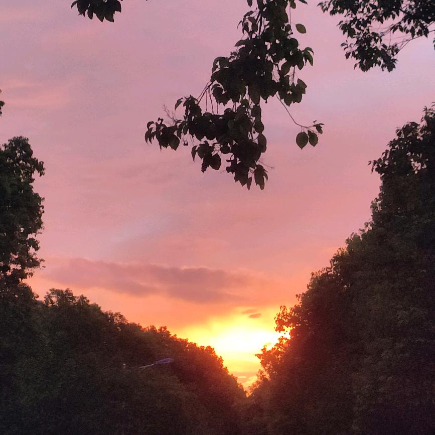 对方正在输入中