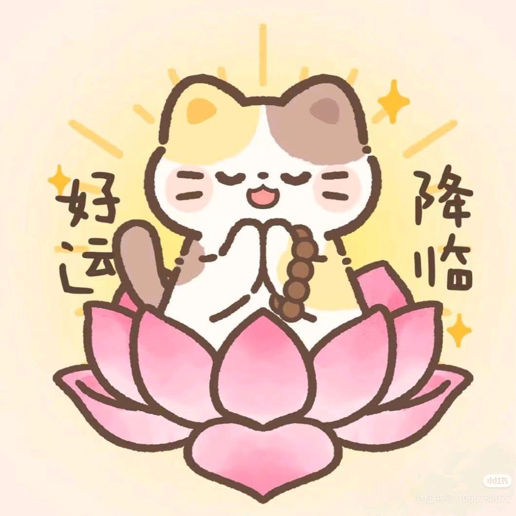 晚安💤💤💤🦈