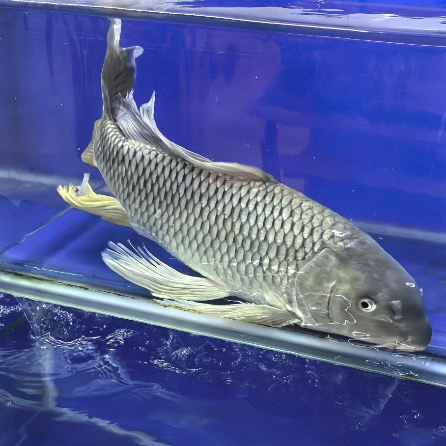 天生我才必有用