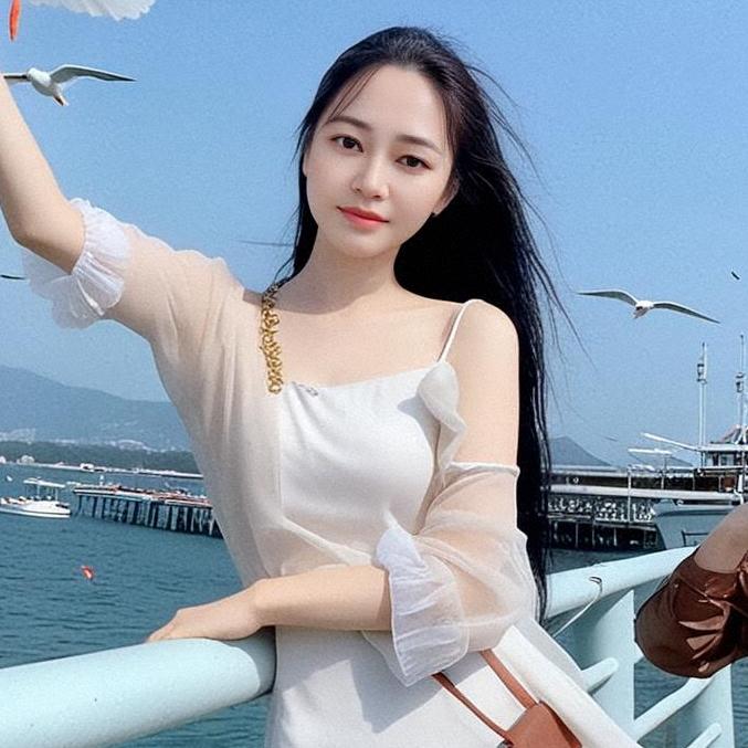 云里有鹤