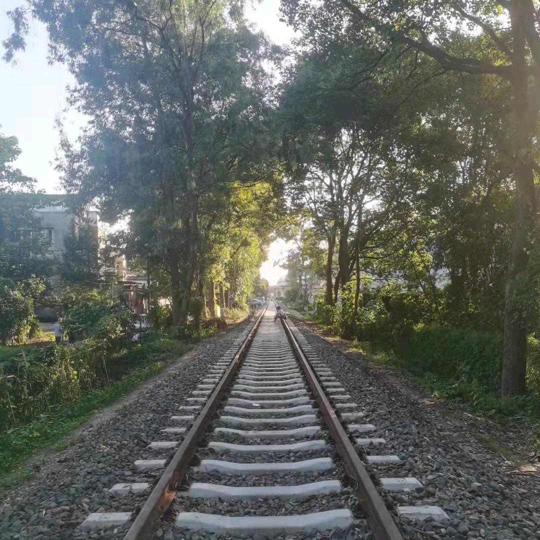 梅子69138