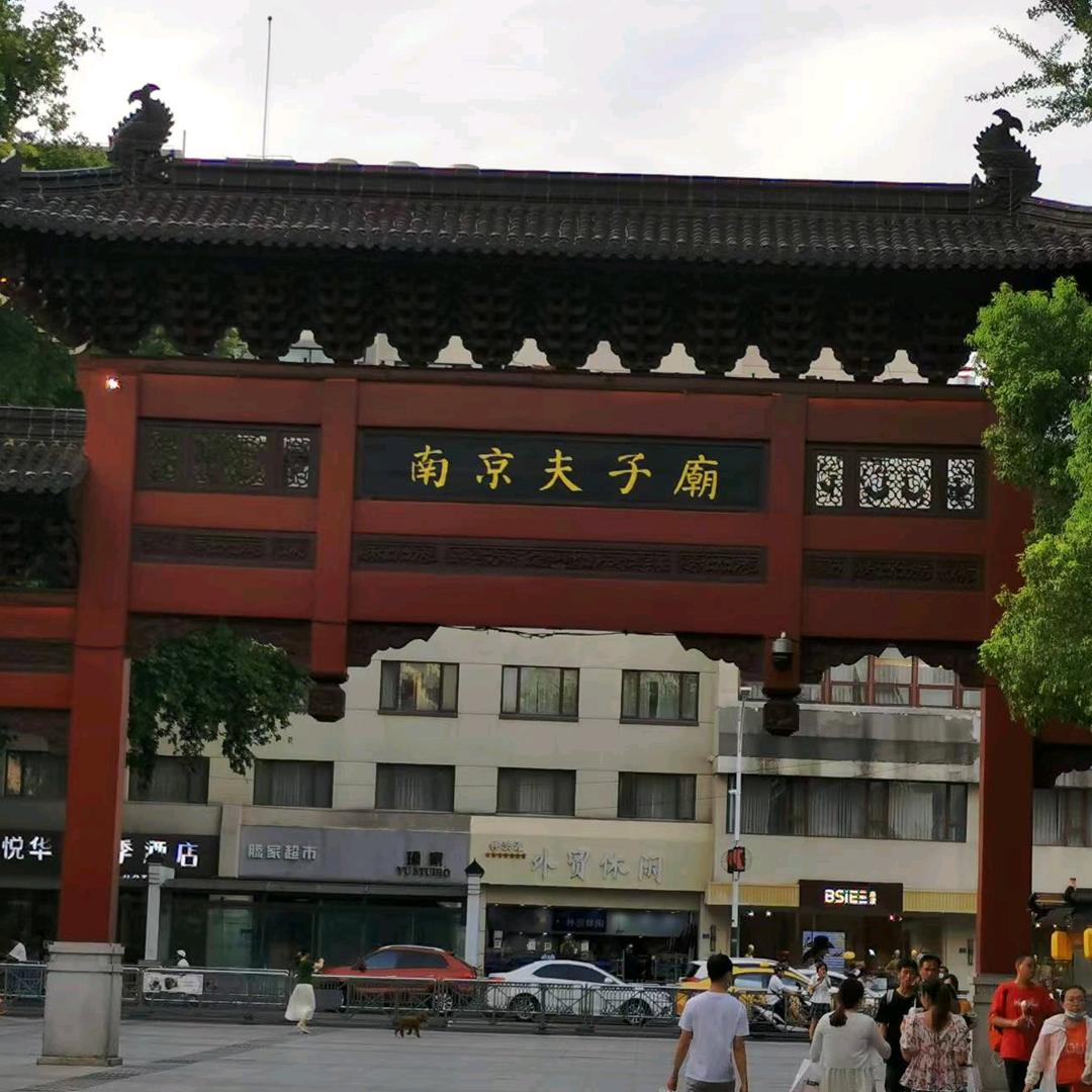 蚂蚁93