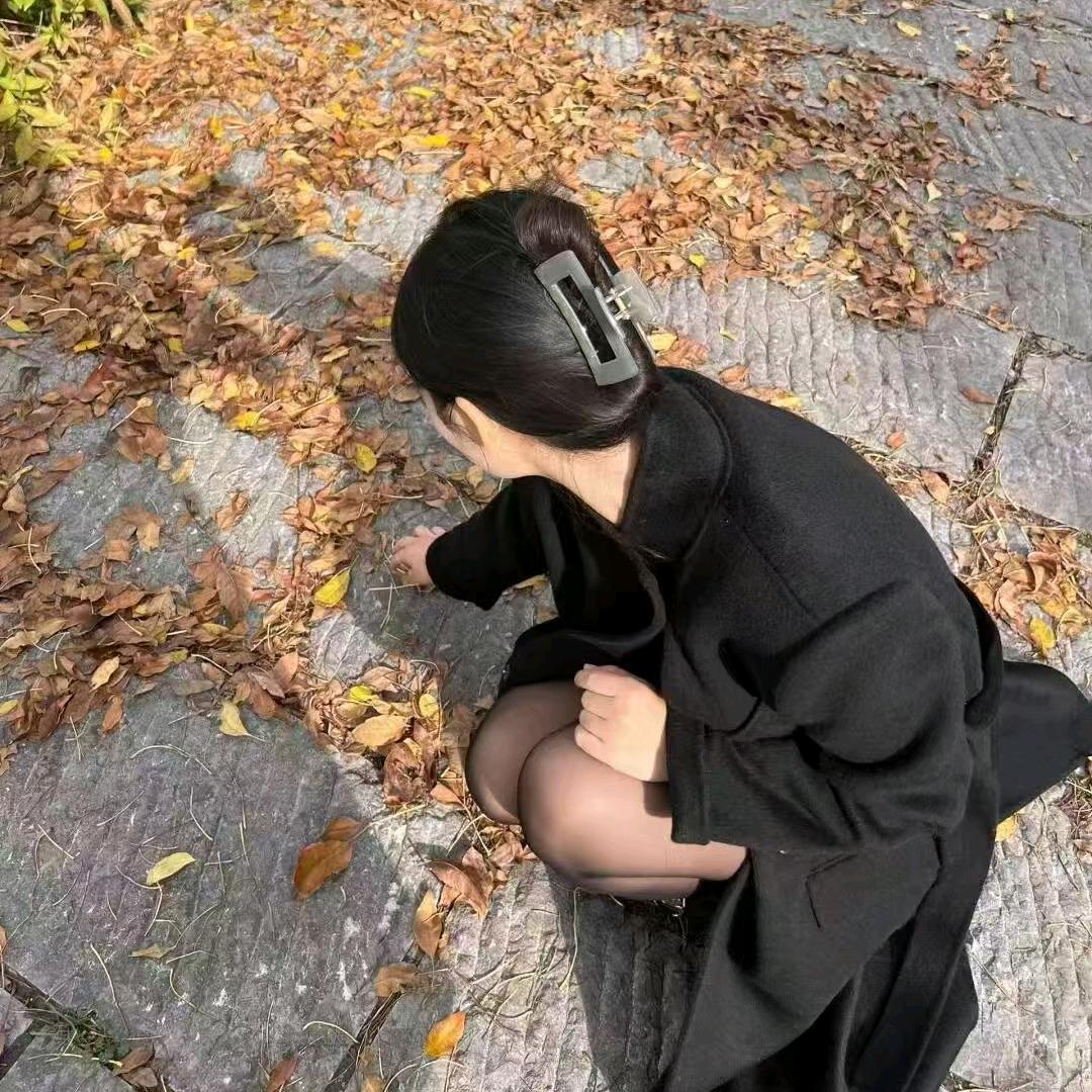 豆宝