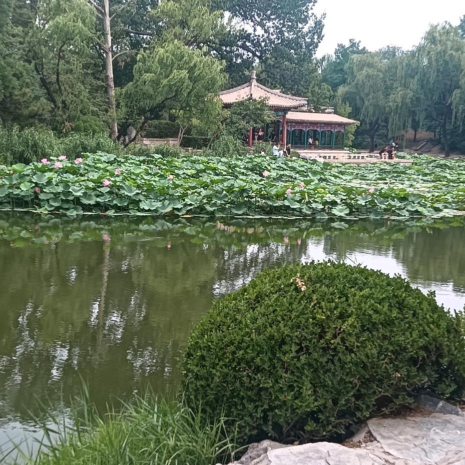 七舅姥爷。