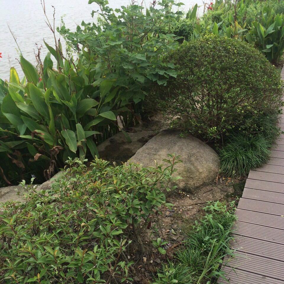 沈仙侠李