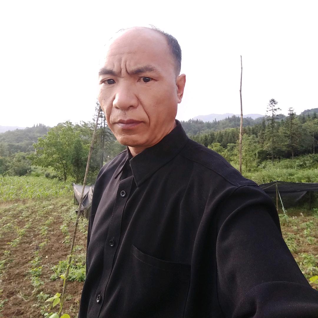 伤不起