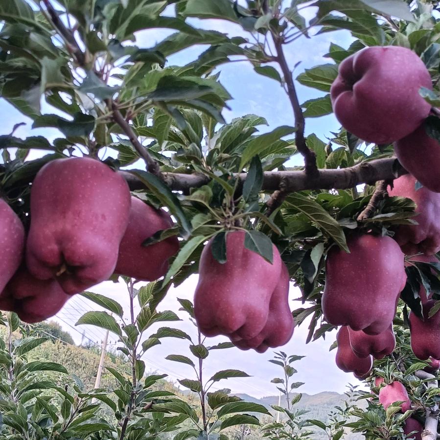 往后余生😀😀