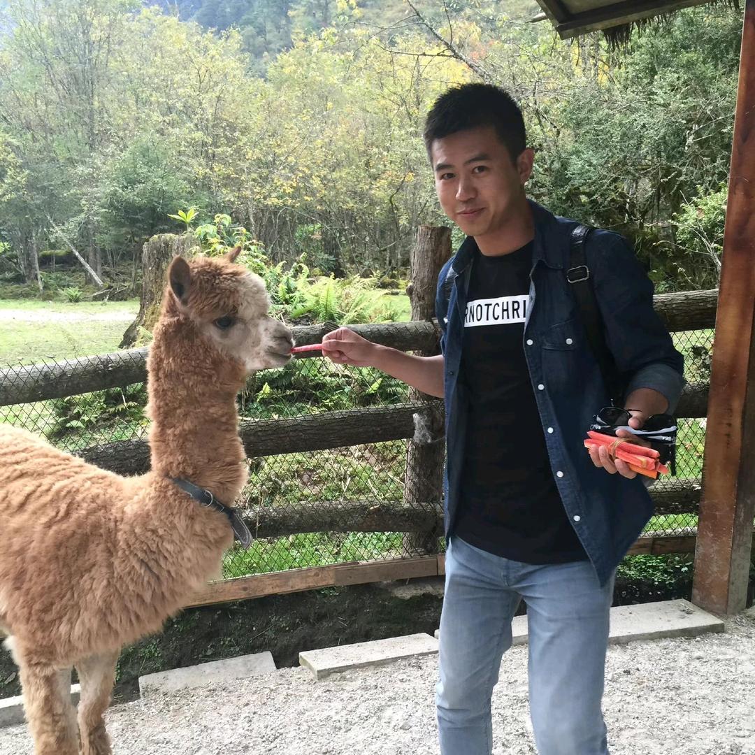 捍卫山川者🛡🛡🛡