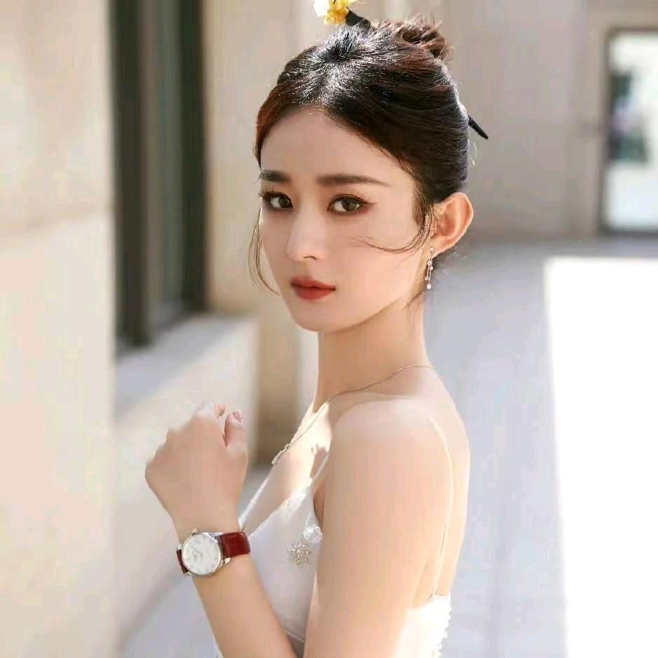 山茶花读不懂的白玫瑰。🌹🌹🌹