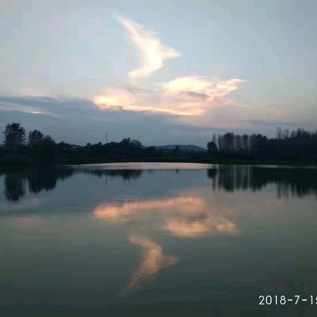 昙花一现