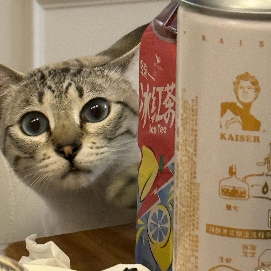 明明明明oioi