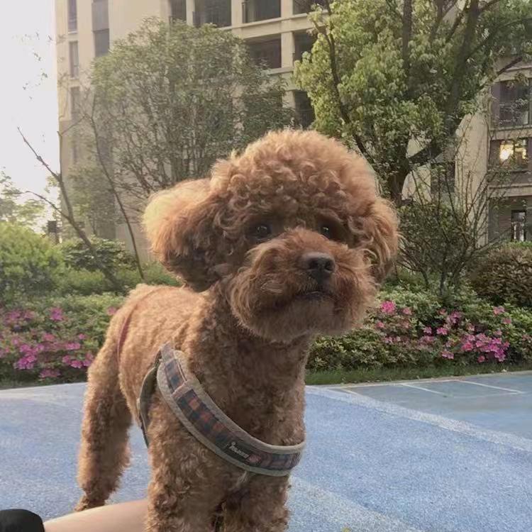 🉑乐的一家