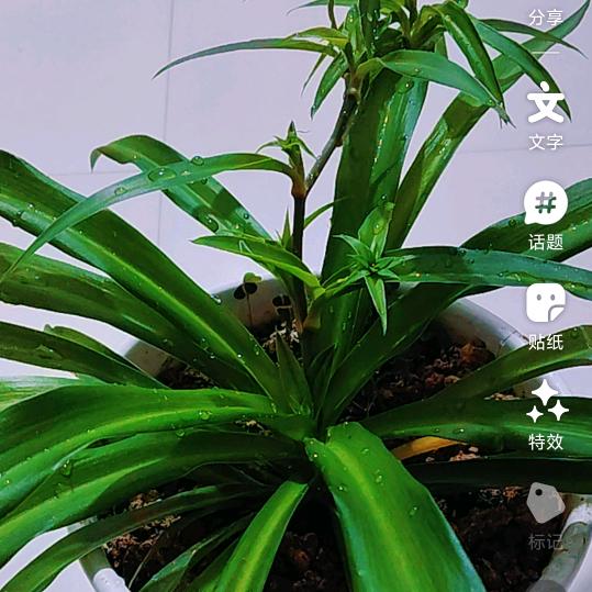 往后余生🐒🐈🐁🌺🌸🌲🌴