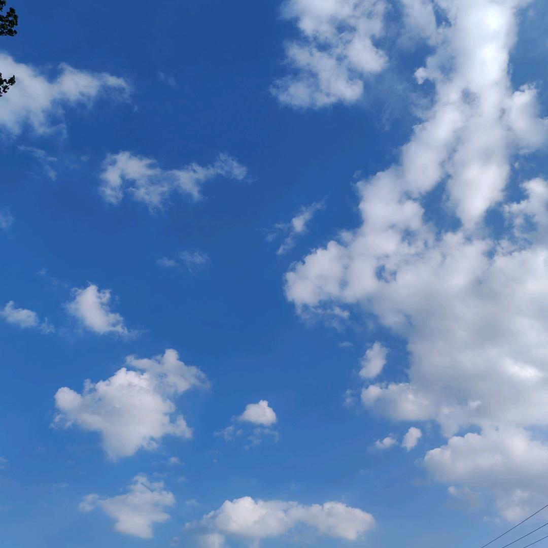 新农人，新迹象