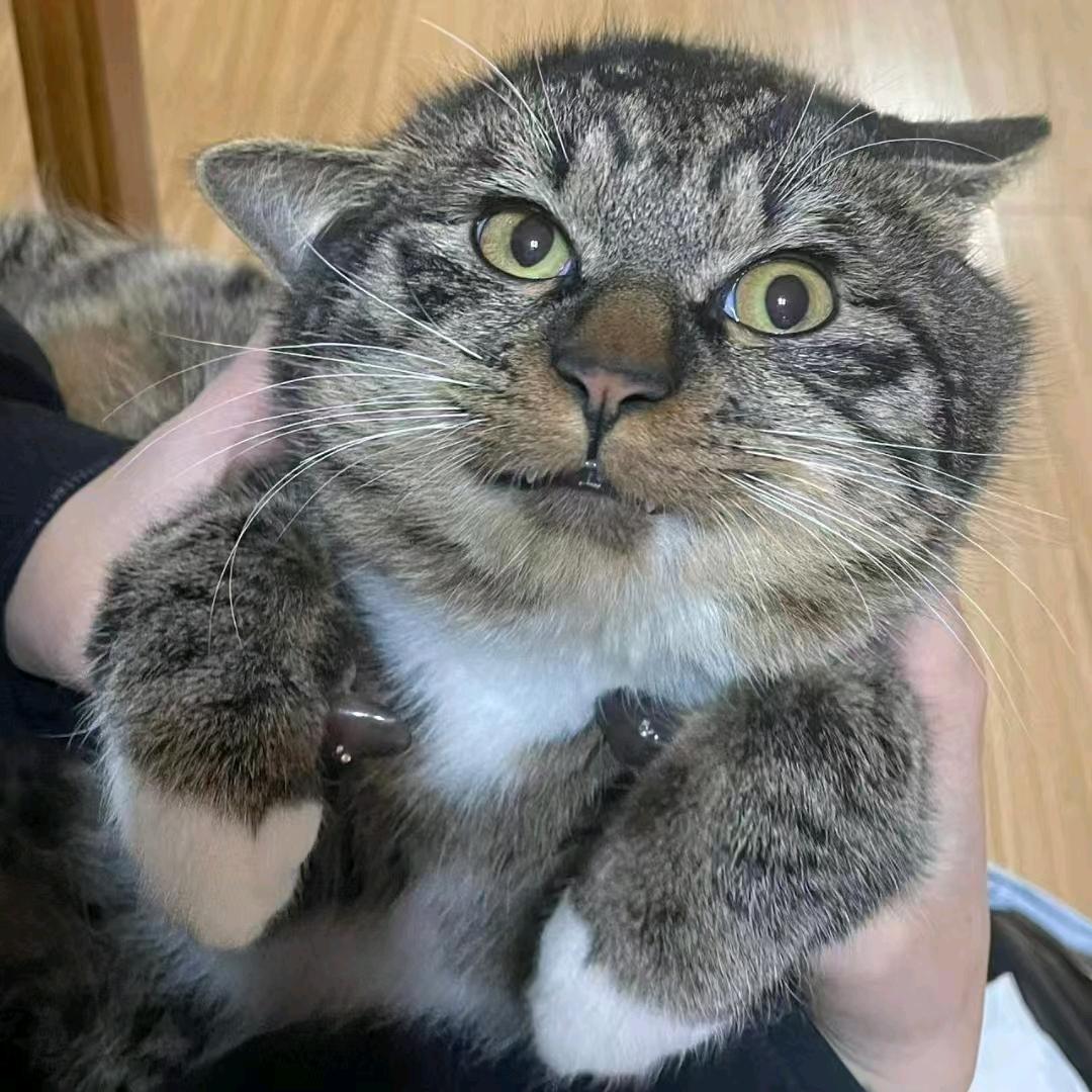 天热喝点绿豆汤