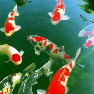 单身  😳    珍惜