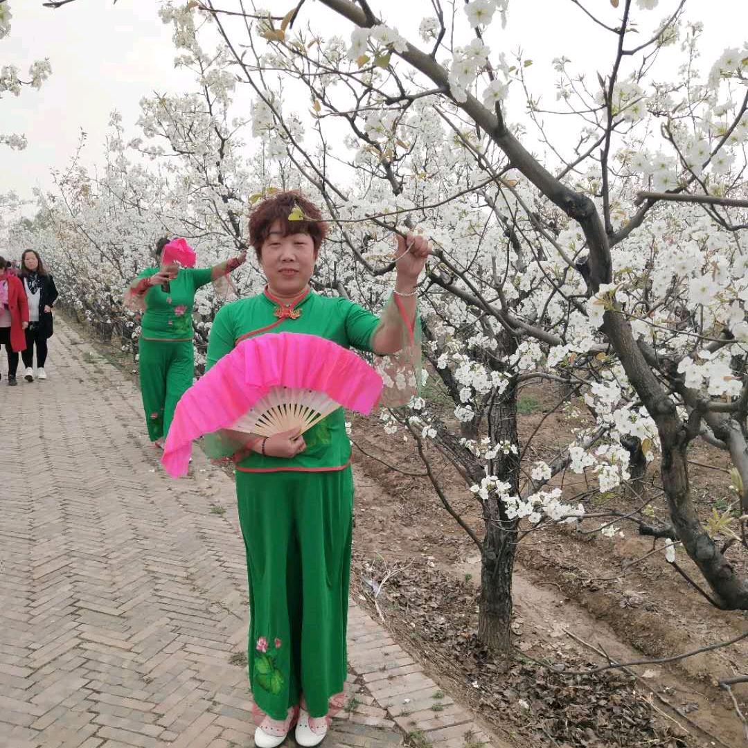 爱宝古典家俱