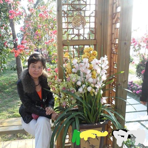 静穆②（大号首播晚八点）