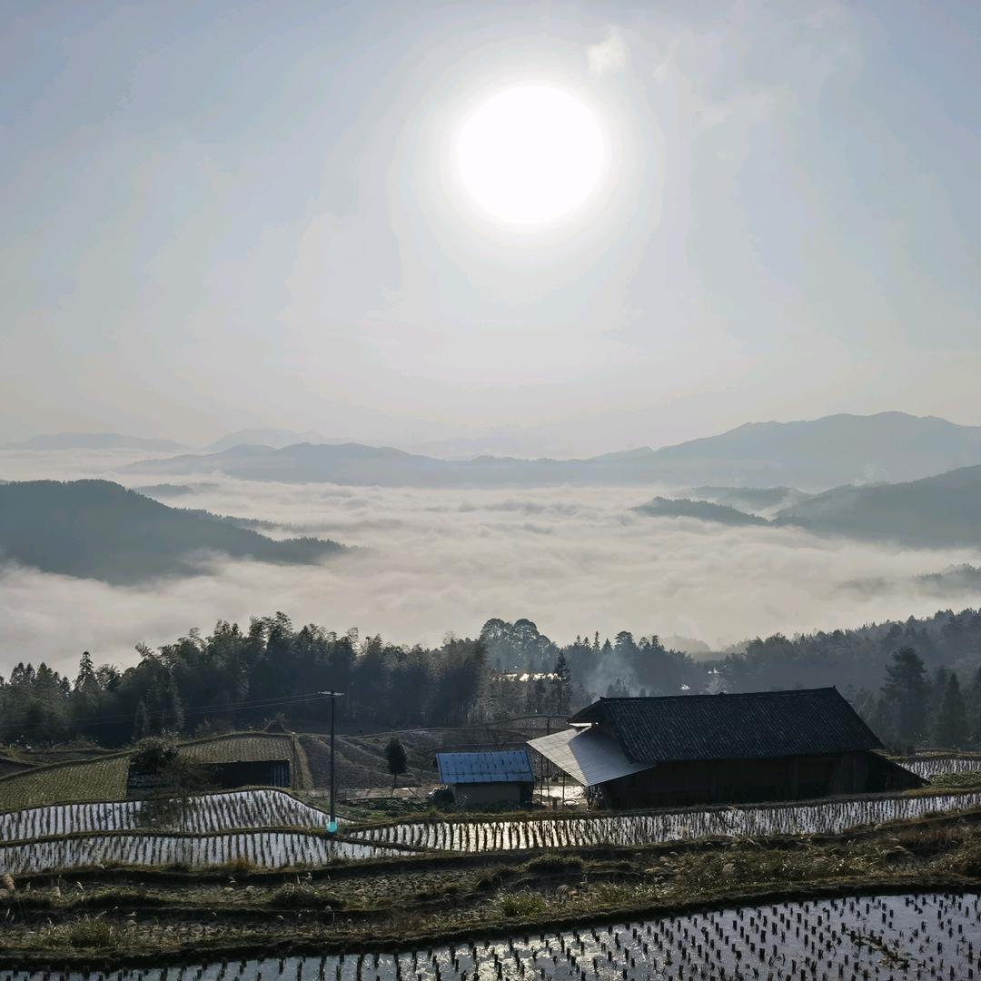 🍀 激🍁 情🌹 飞💐 杨🌻