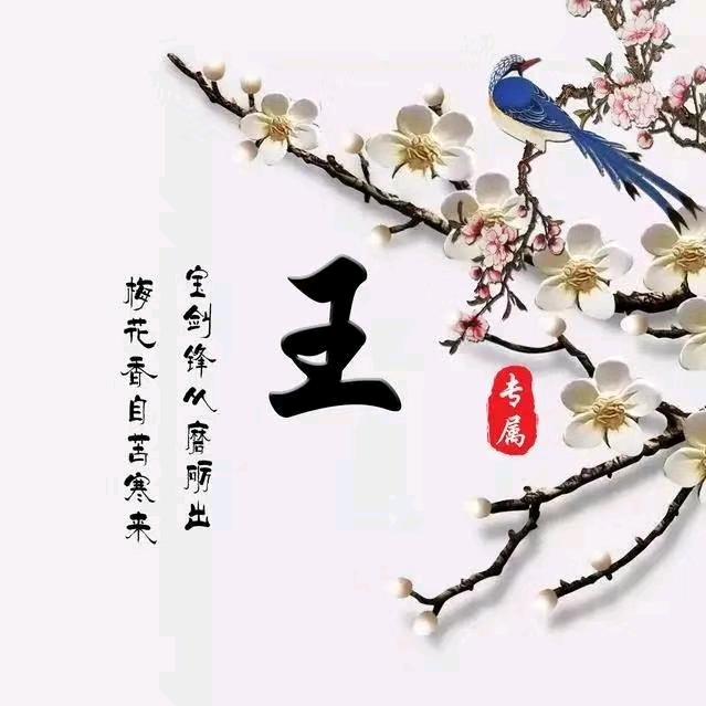 景焱好物严选