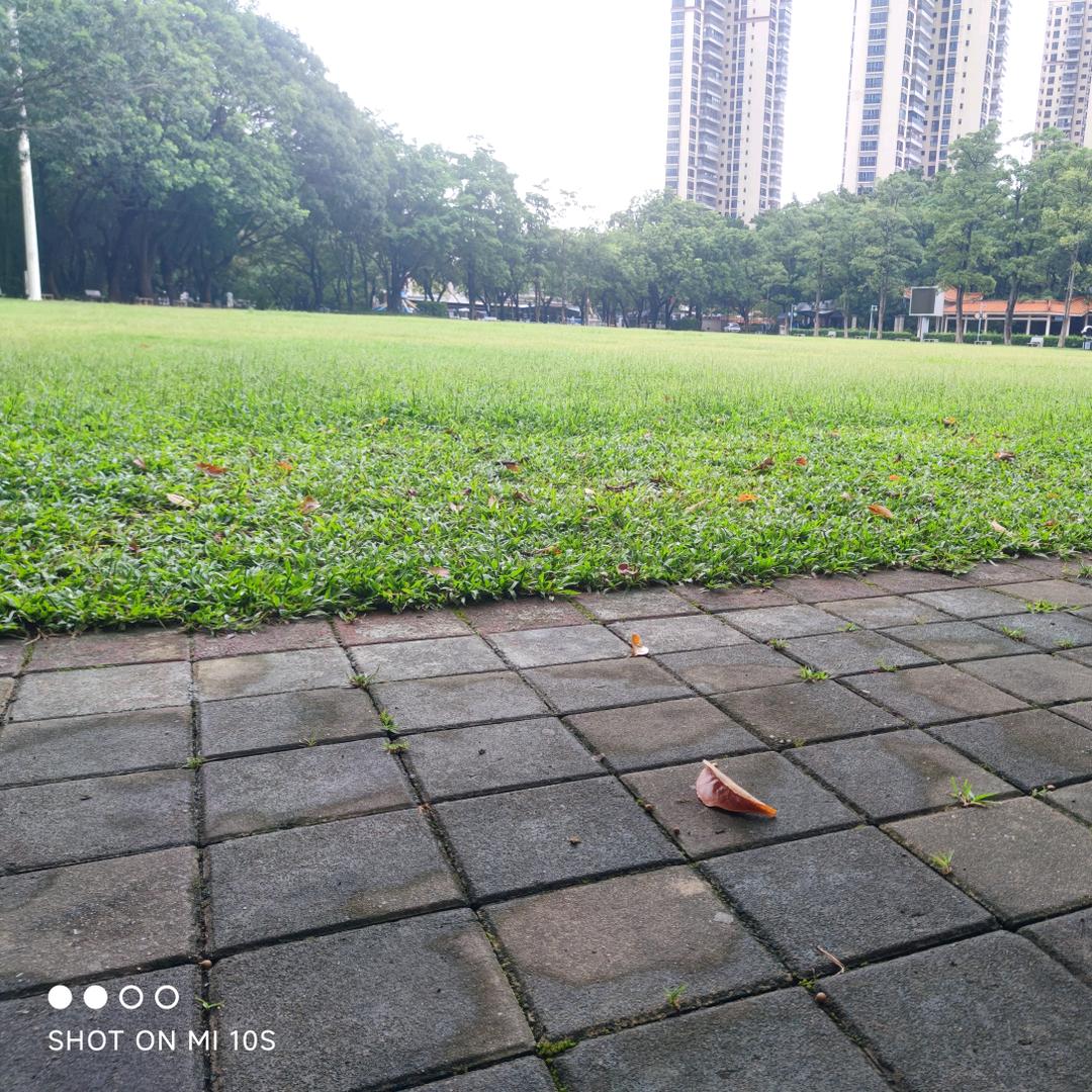 ঞ各自安好ꦿ꯭᭄᭄