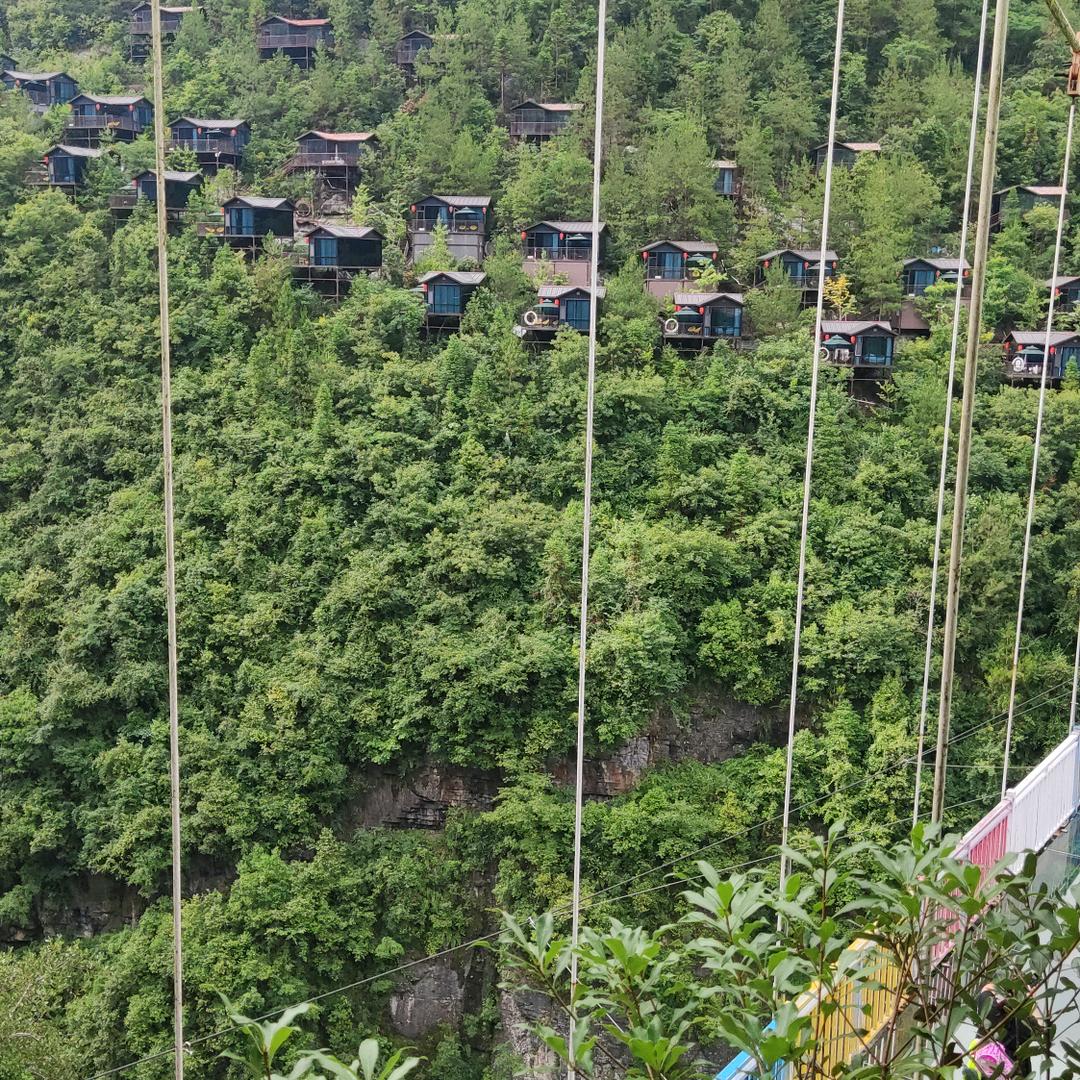 @青柠檬🍋