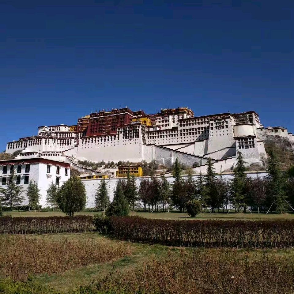 西咸一灯