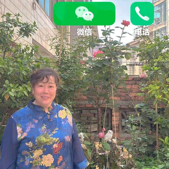梅冬苗，