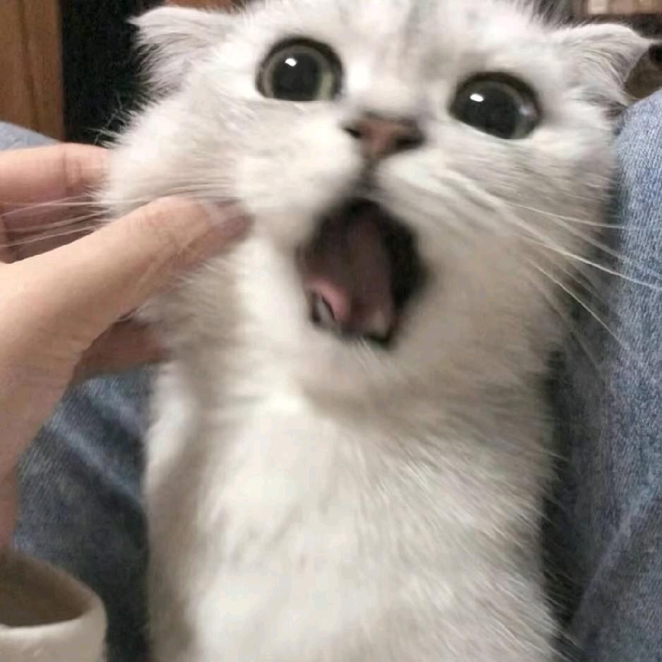 Yzzn