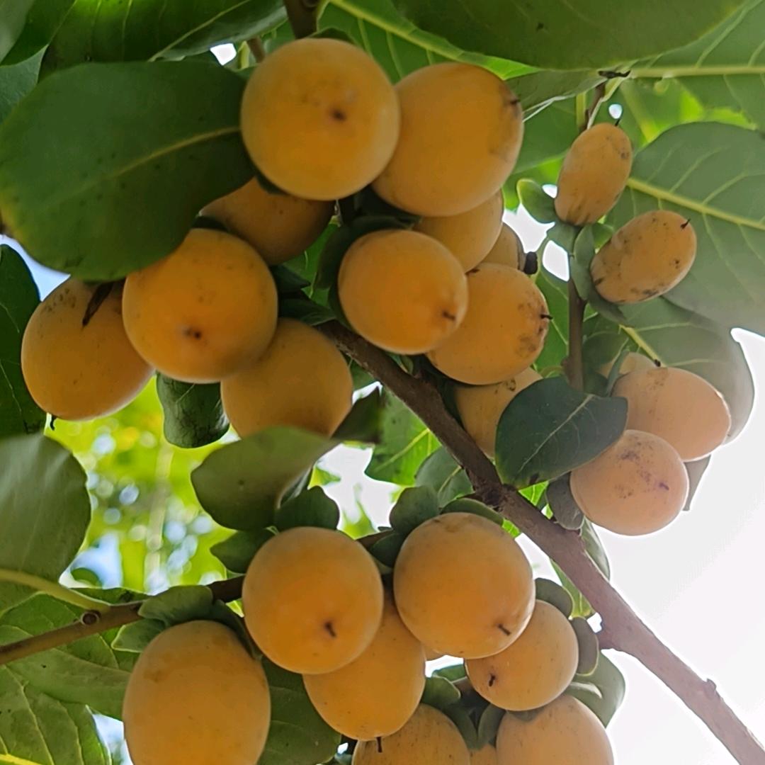 ঞৣ四季💞安然℘💕