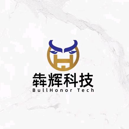犇辉科技（中非跨境）