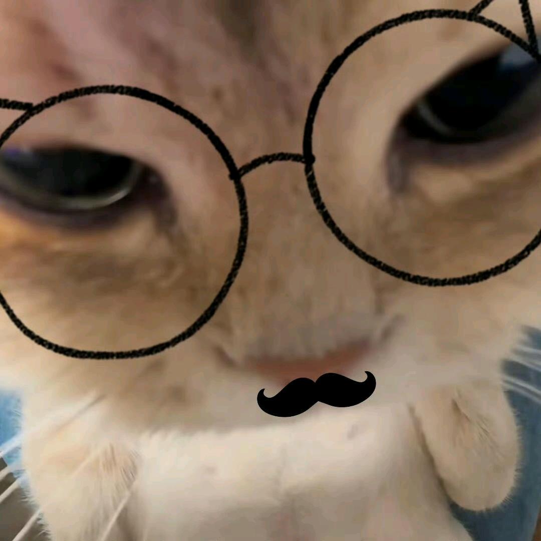 毓