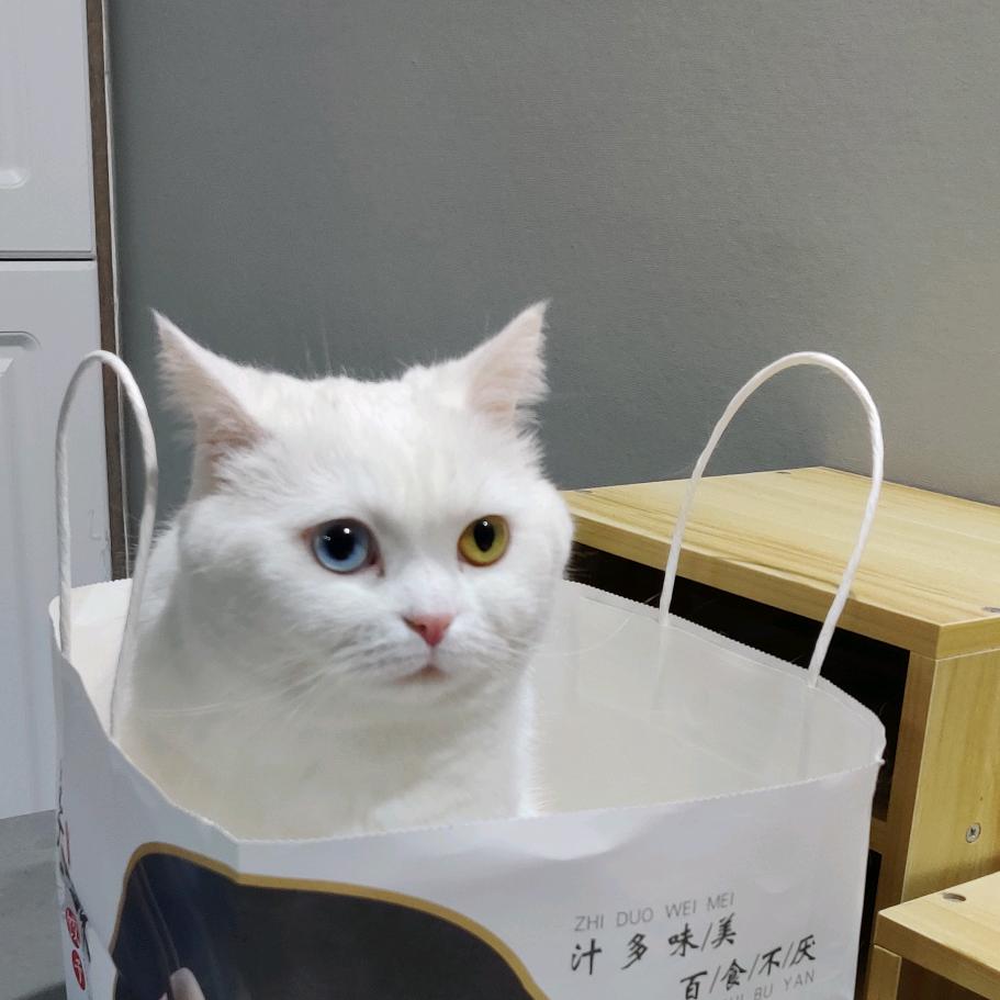 新名