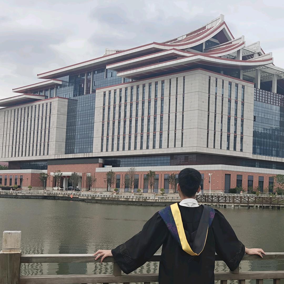 半只烤鸭加米饭