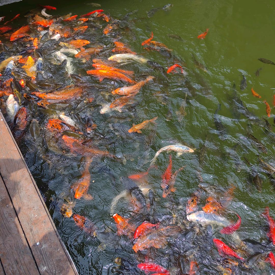 信永机械