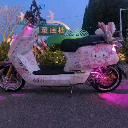 强哥电动车
