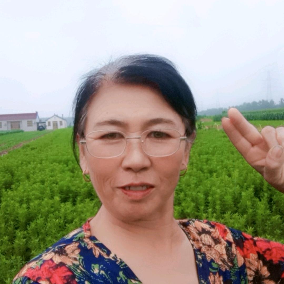 桂花香