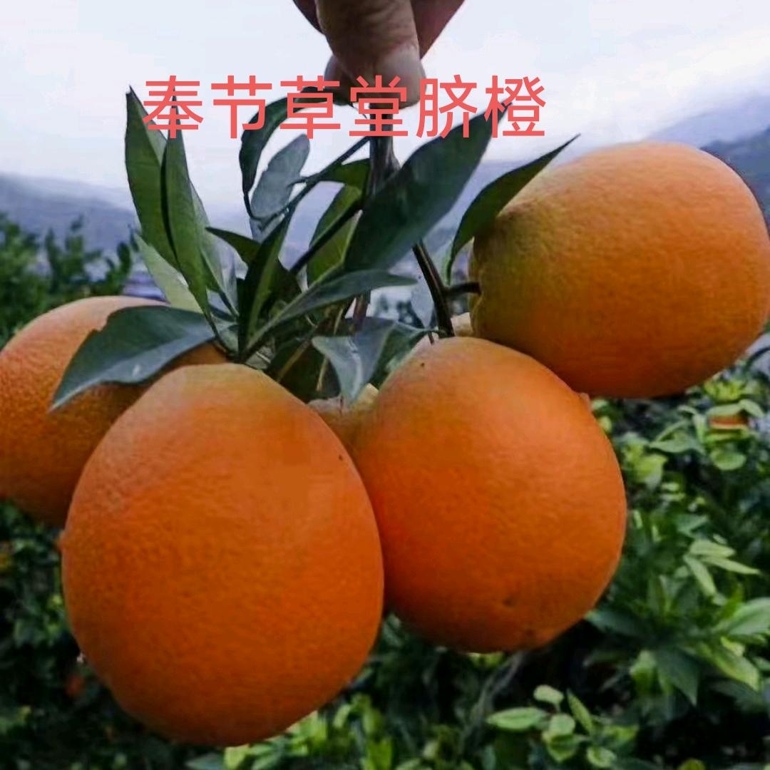 索图大舞台（伴你左右）