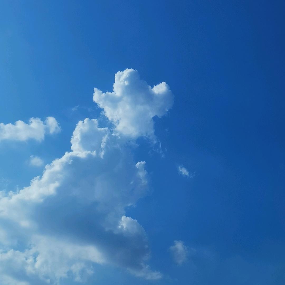 饼子