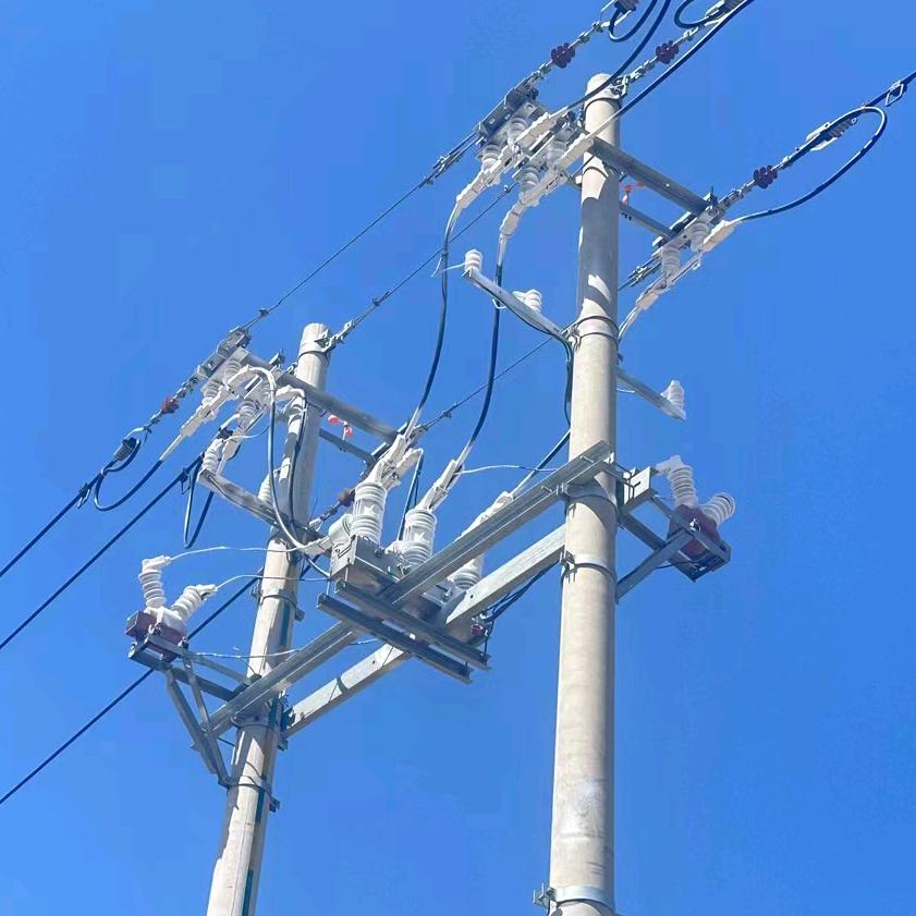 长奥电力王