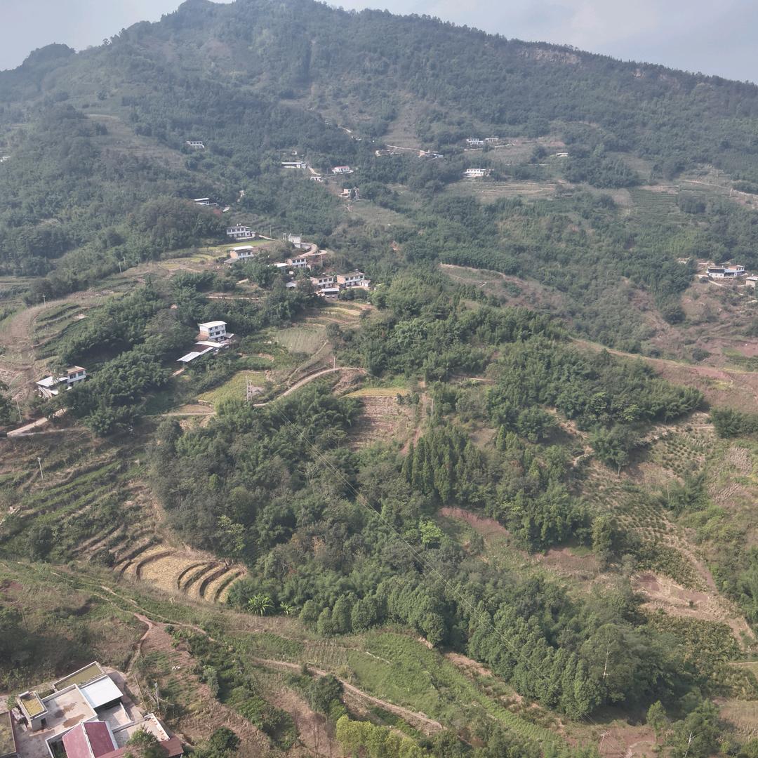 80后农村小伙   抖音助农