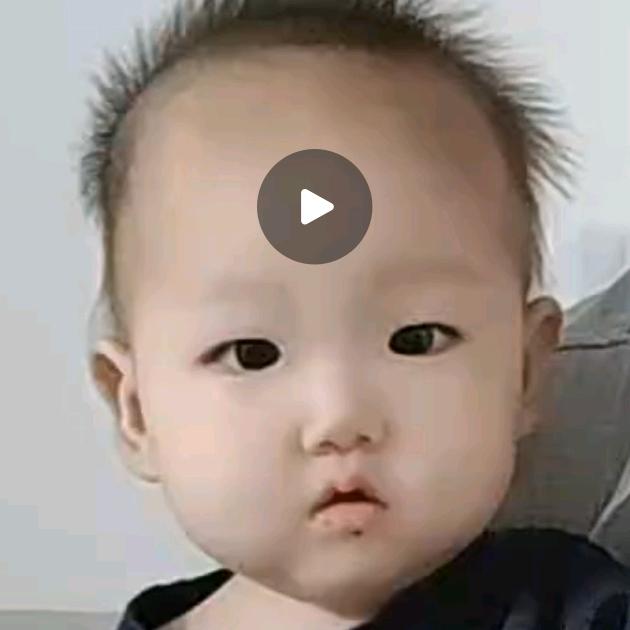 弔尔朤氹