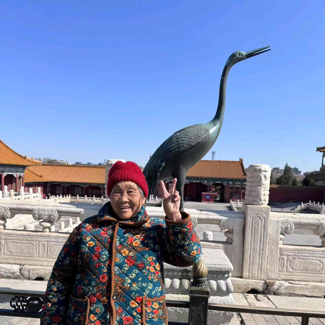 爱玩抖音的老年人