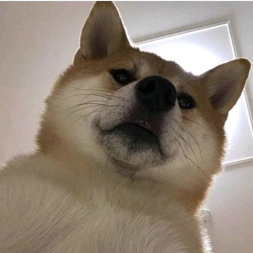 -杰